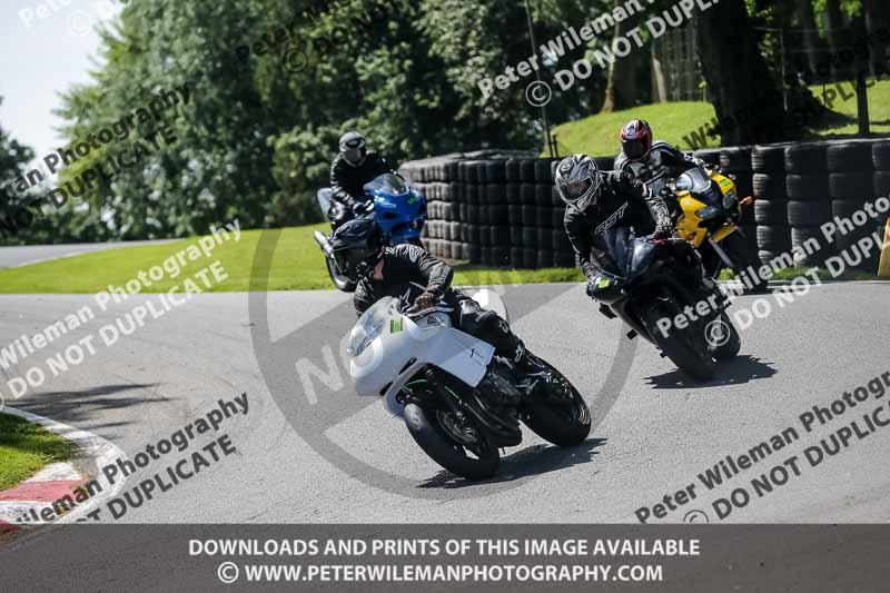 cadwell no limits trackday;cadwell park;cadwell park photographs;cadwell trackday photographs;enduro digital images;event digital images;eventdigitalimages;no limits trackdays;peter wileman photography;racing digital images;trackday digital images;trackday photos